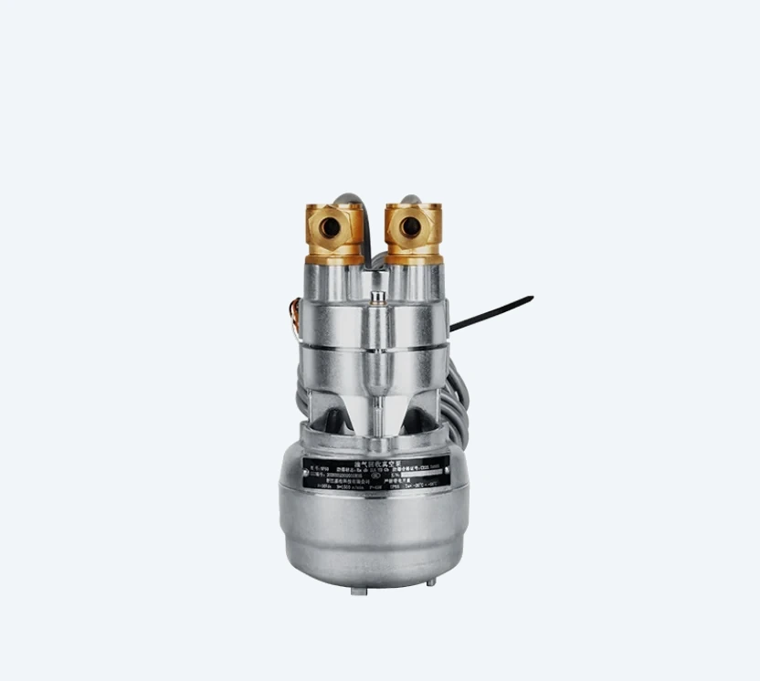 DT-NP80 flameproof vapor recovery vacuum pump