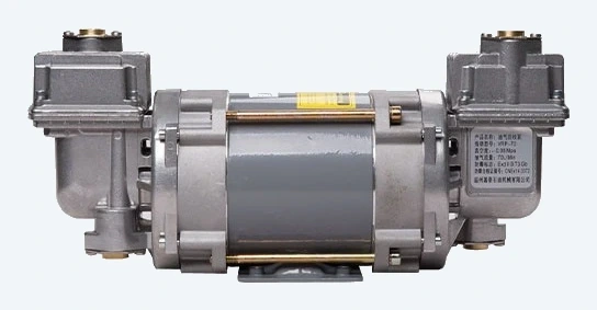 DT-VR2 dual-head vapor recovery pump - front view